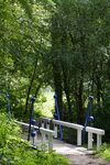 Eén met de omgeving.
<br/>
Marcel Westhoff, augustus 2015